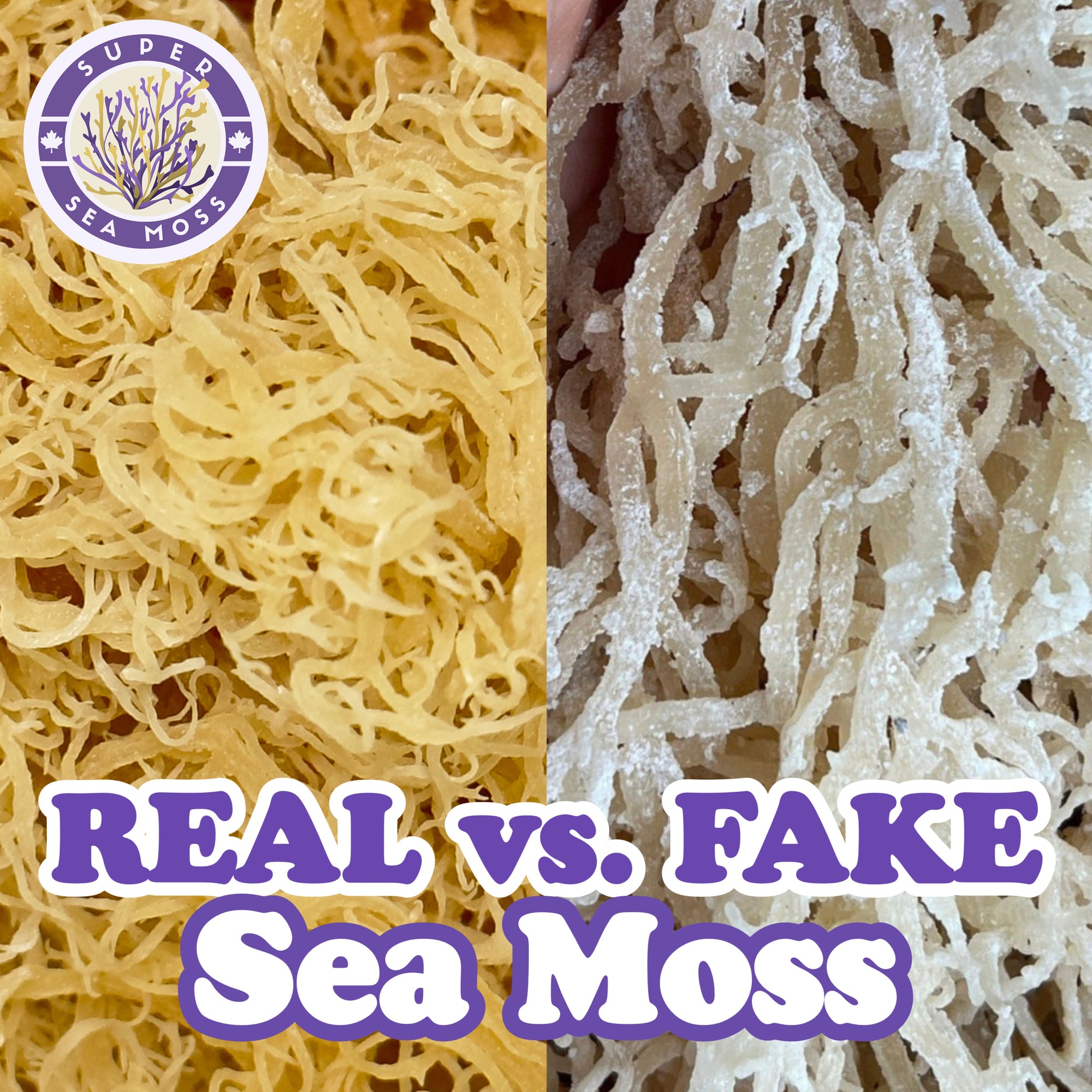 Real Vs. Fake Sea Moss: How To Tell The Difference - Super Sea Moss